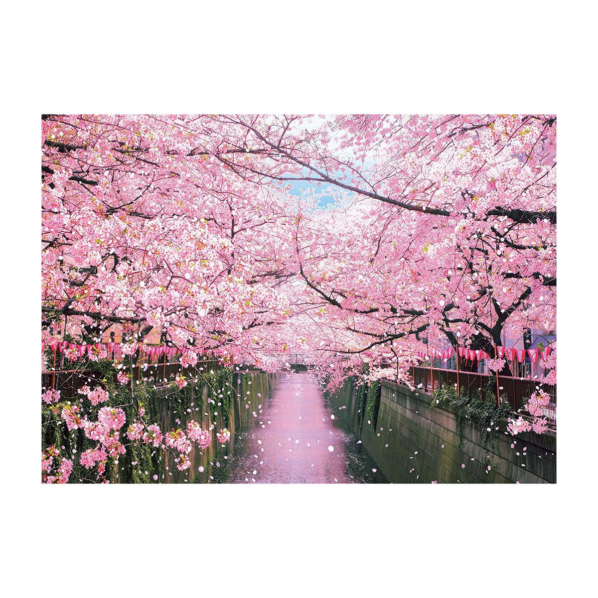 【ジグソーパズル】ビバリー　目黒川の桜並木