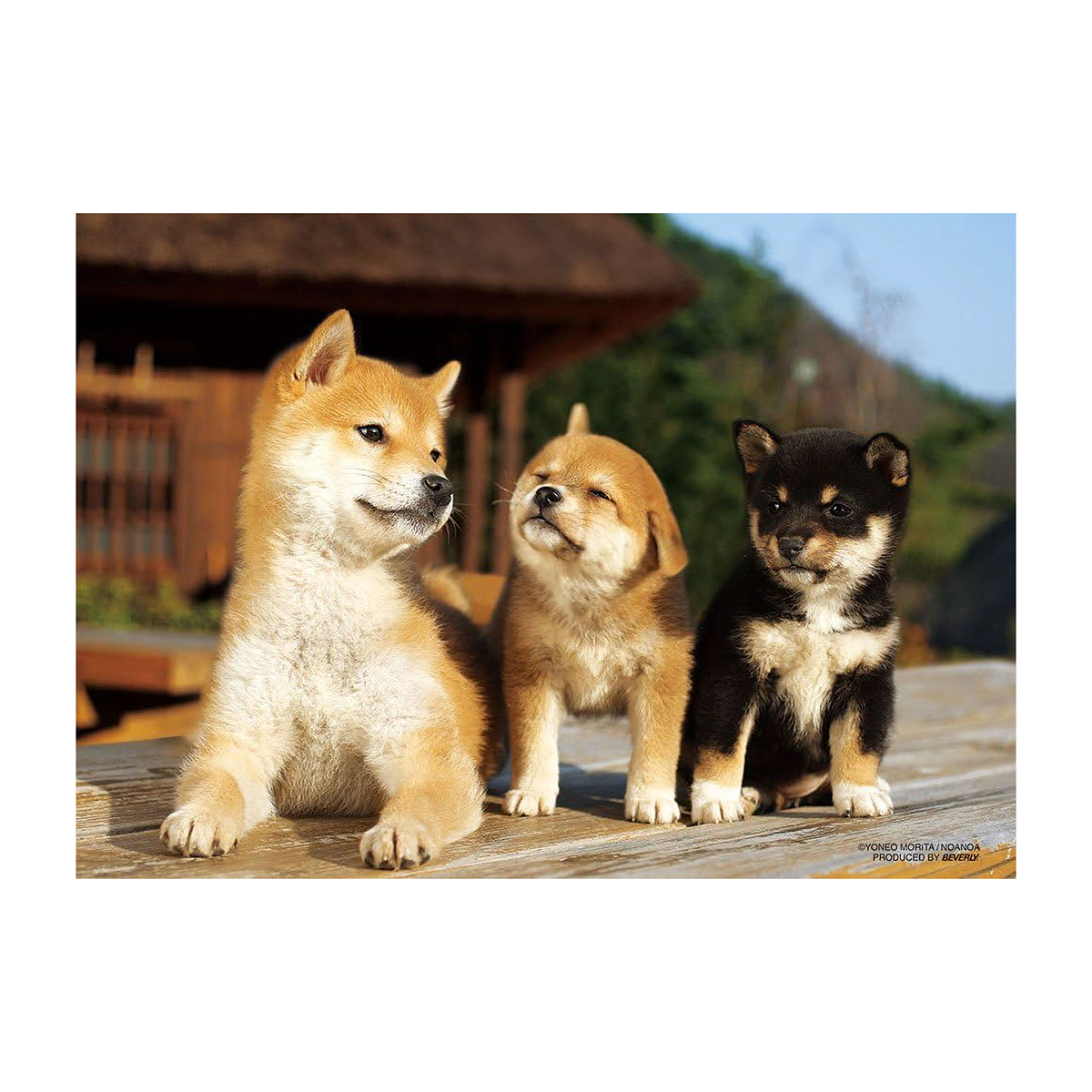 【ジグソーパズル】ビバリー　縁側ともだち