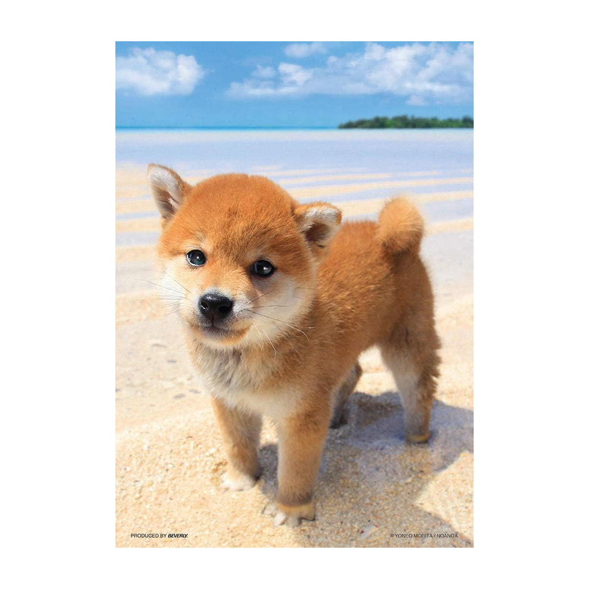 【ジグソーパズル】ビバリー　ぼくの海