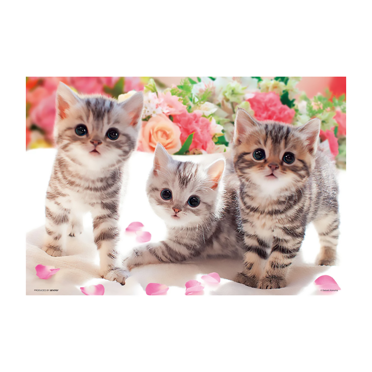 【ジグソーパズル】ビバリー　あそんでにゃ