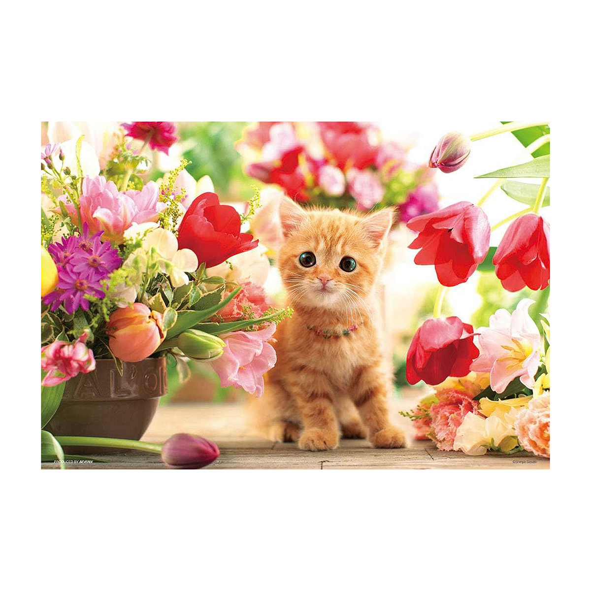 【ジグソーパズル】ビバリー　チューリップと子猫