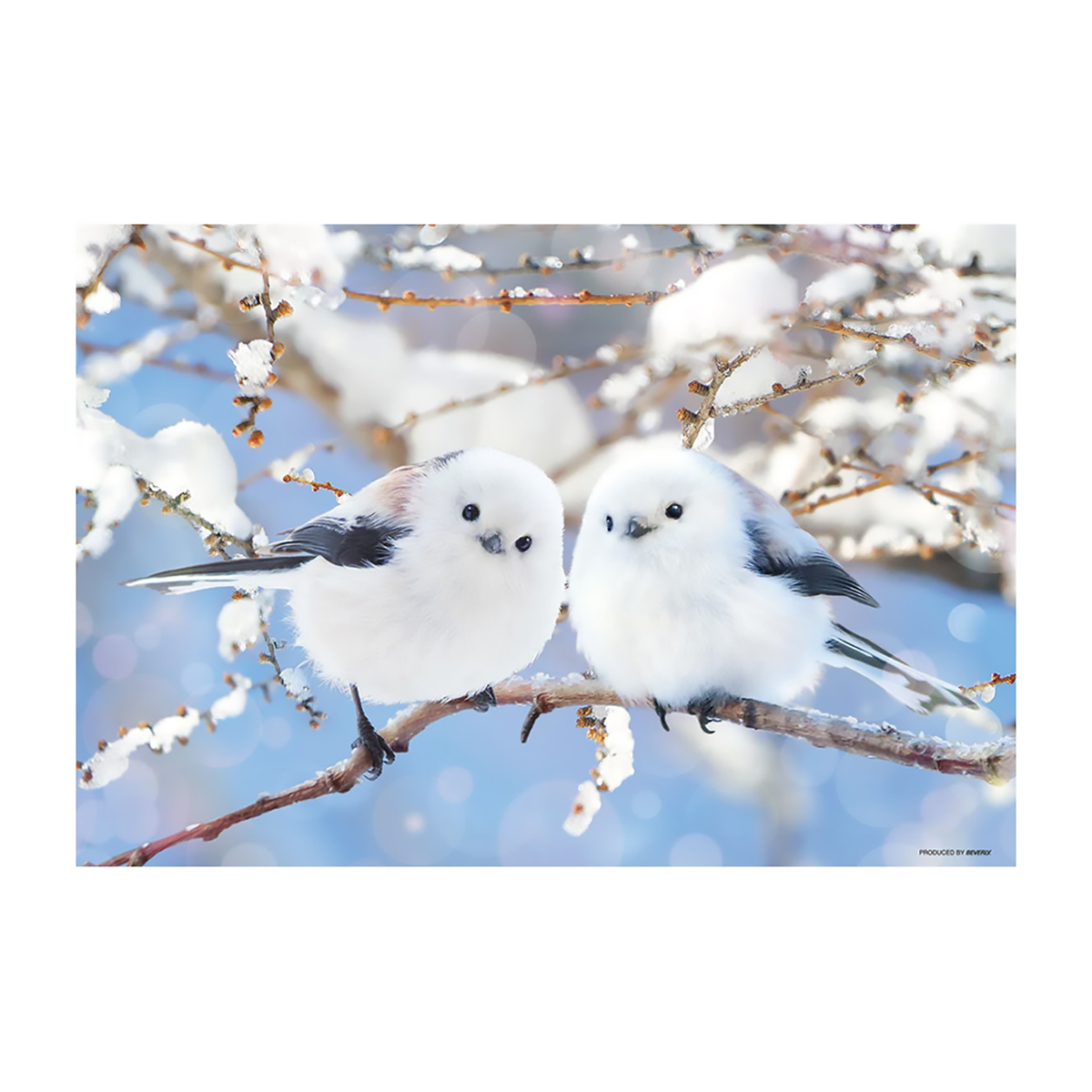 【ジグソーパズル】ビバリー　ふんわりシマエナガ