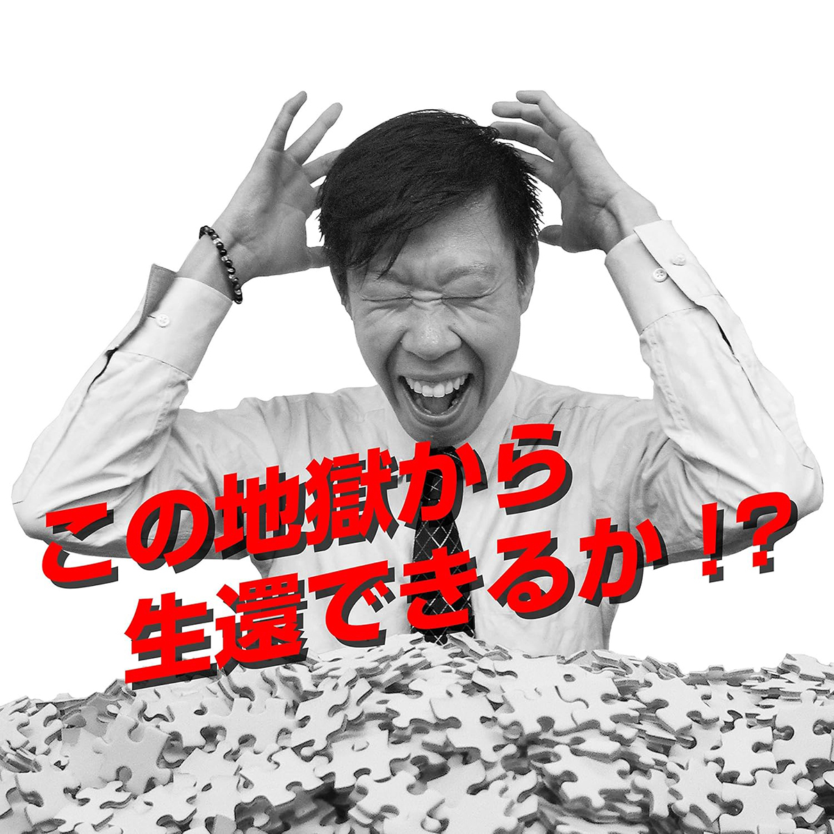 【ジグソーパズル】純白地獄