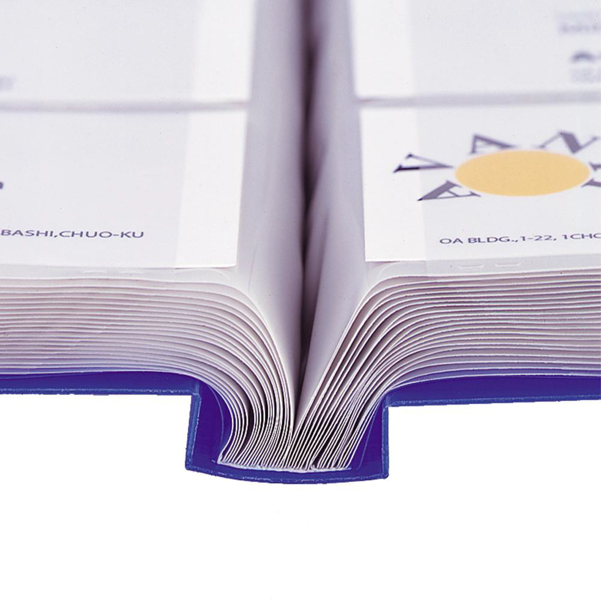 カードホルダー＜カドロック＆ＳＥＩＨＯＮ＞　青