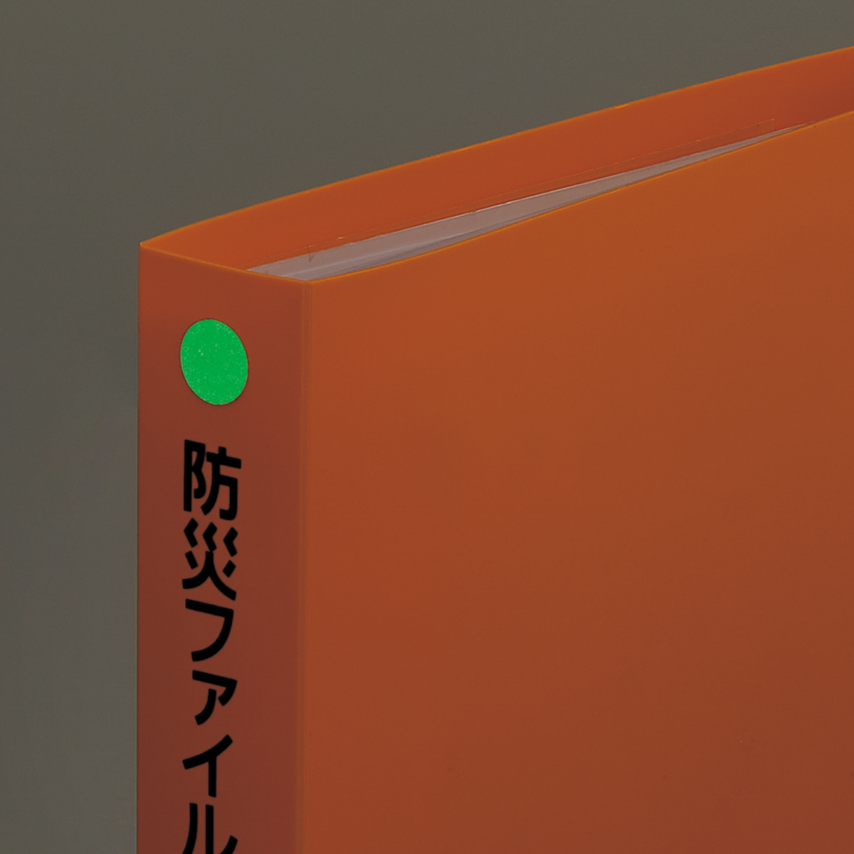 防災ファイル　ベージュ