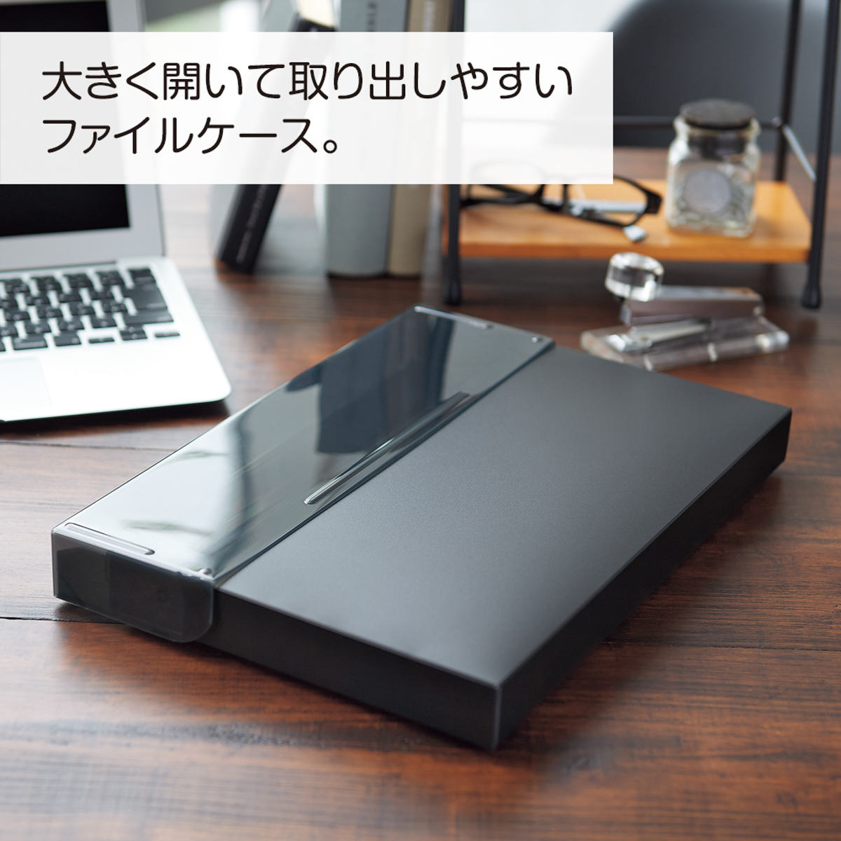 Ｎｏｉｒ×ｎｏｉｒ　コングレスケース