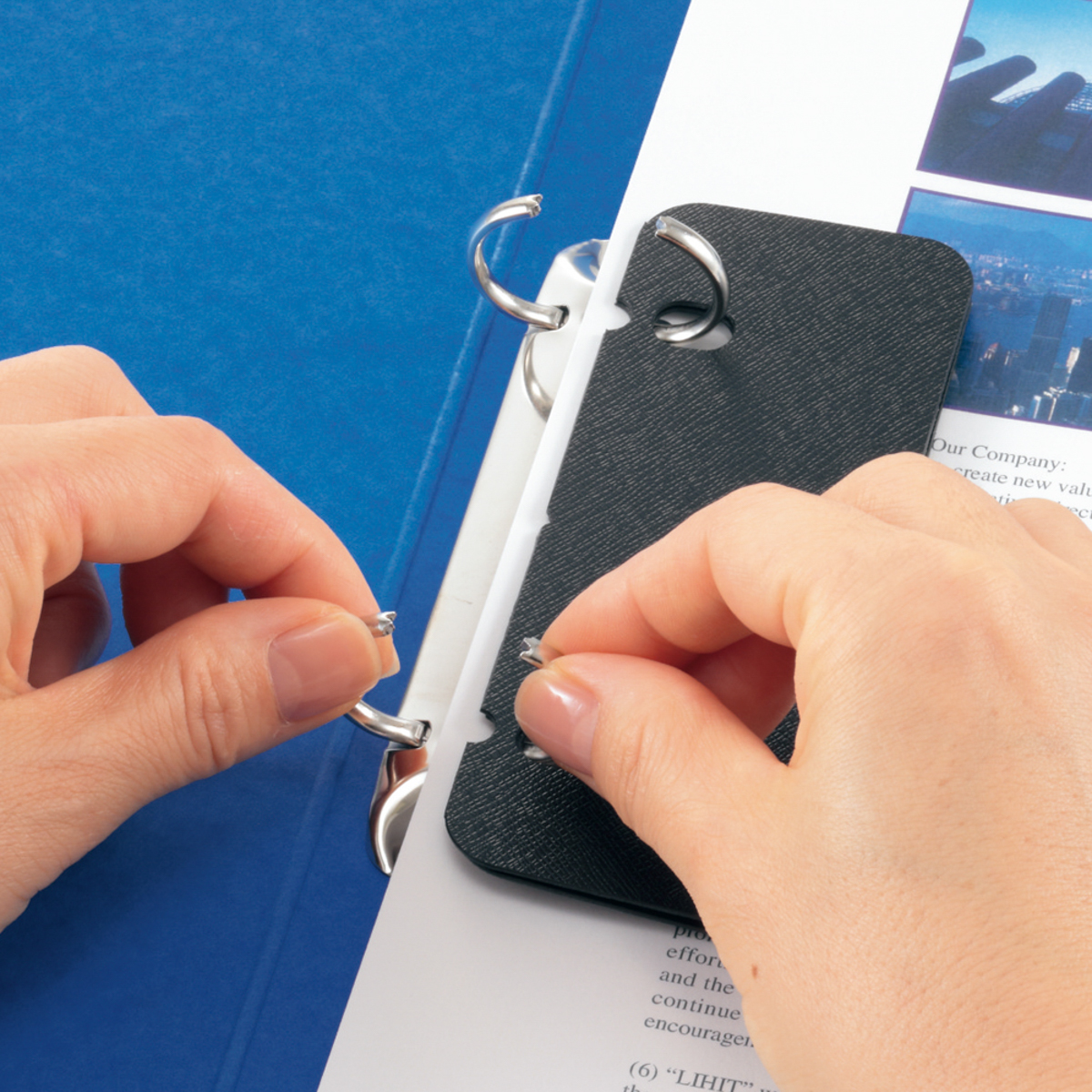 リングファイル　藍