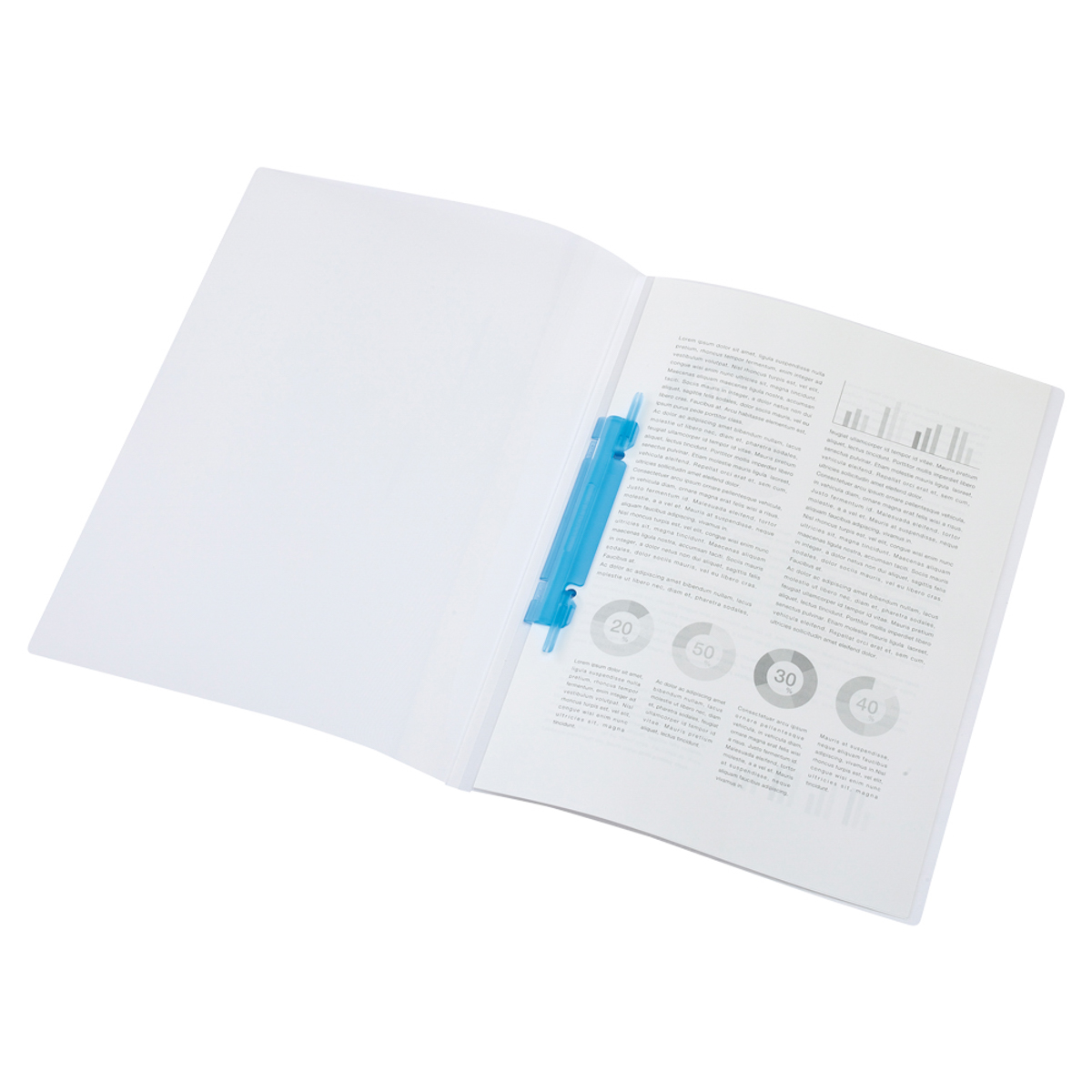 ルーパーファイル　緑