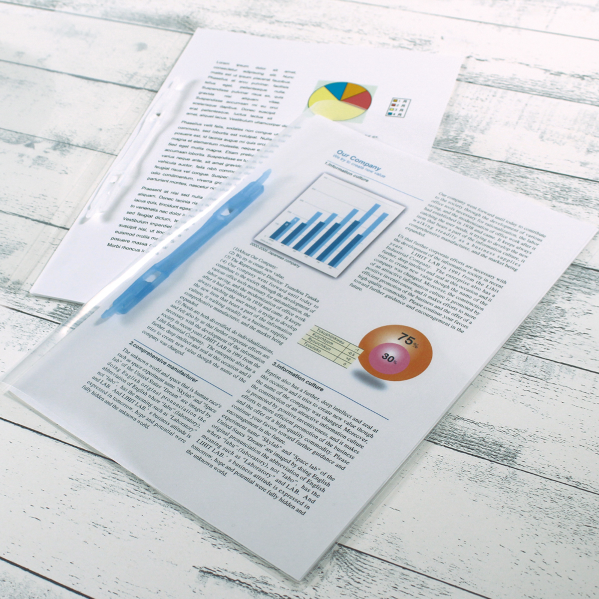 プラファイル　乳白