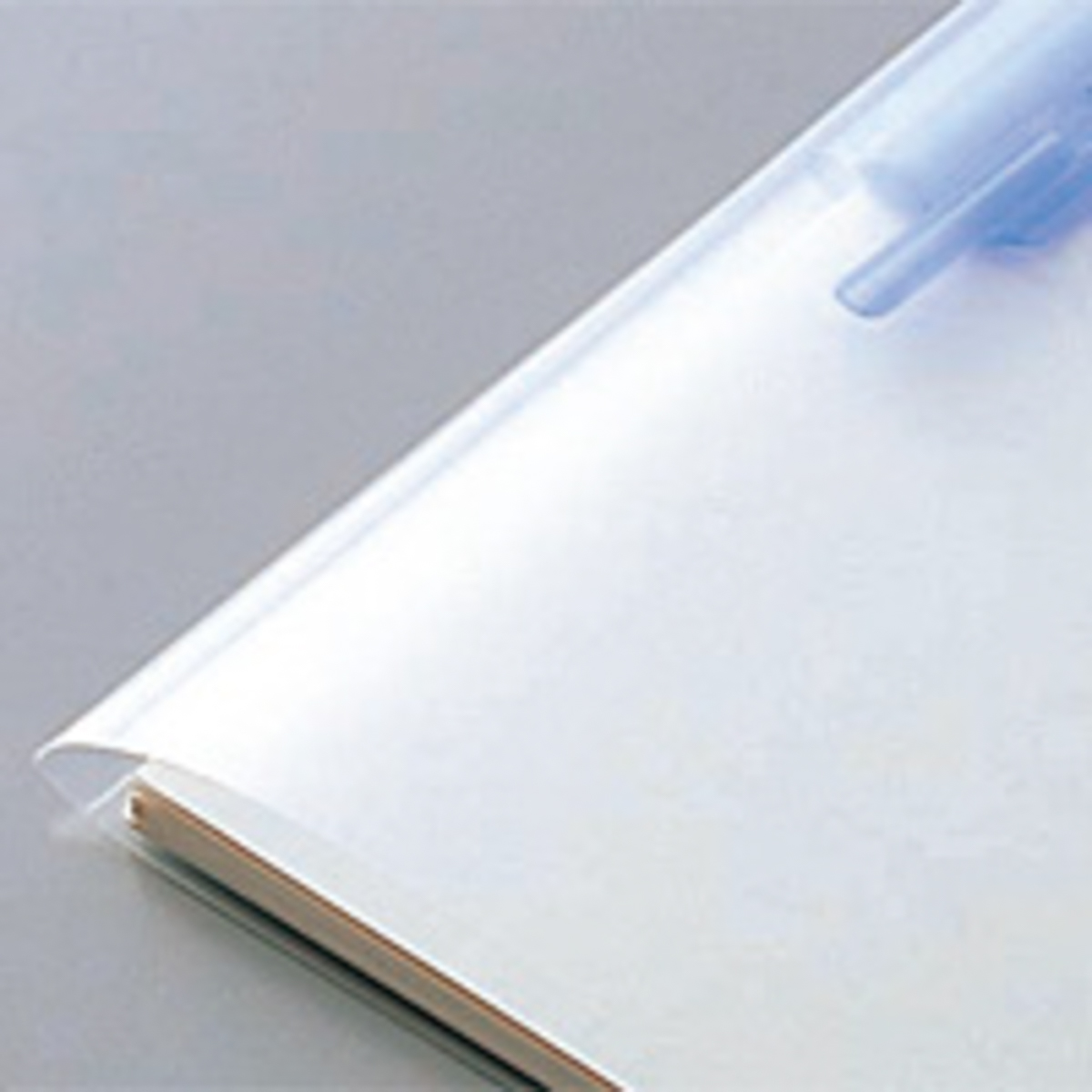 ルーパーファイル　青