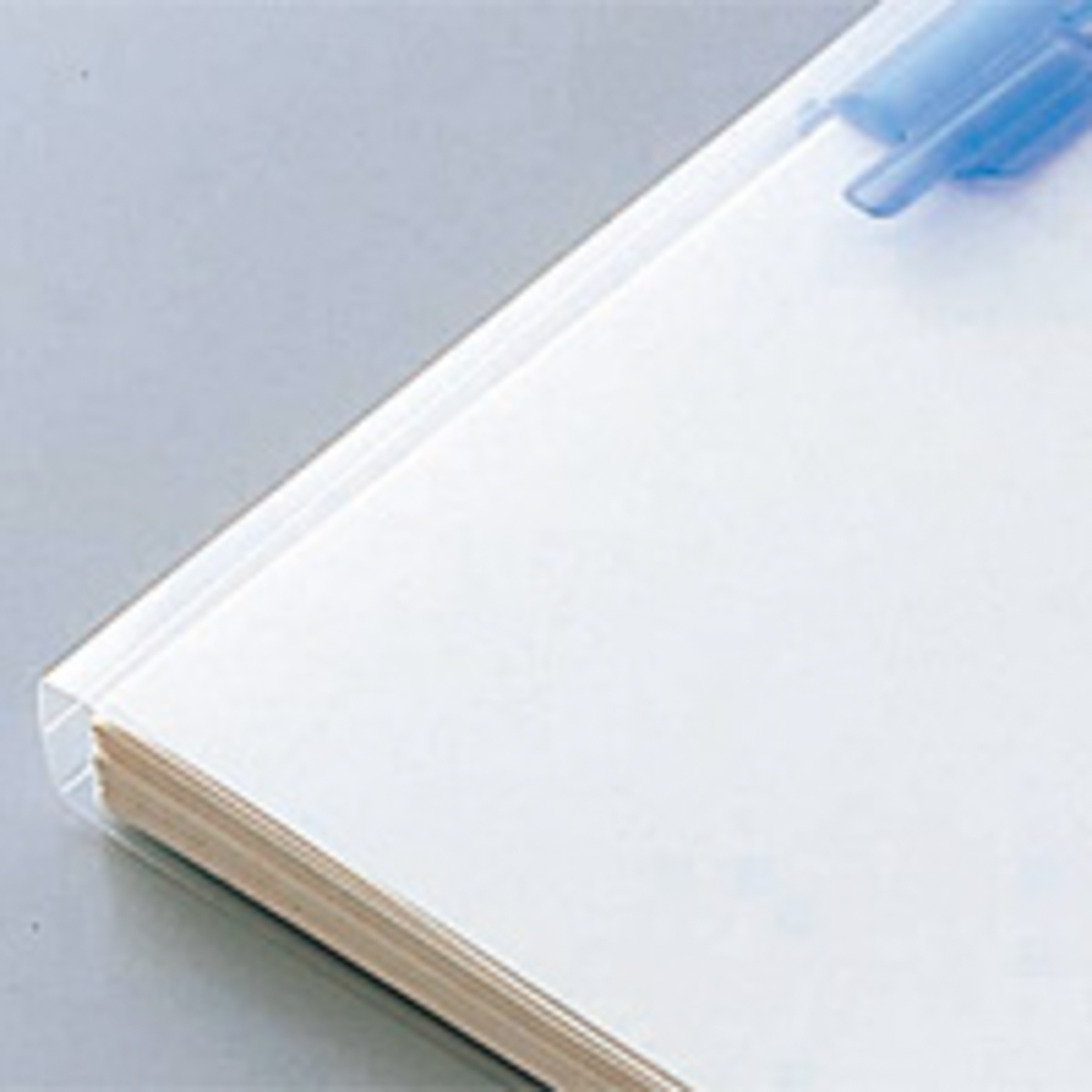 ルーパーファイル　青