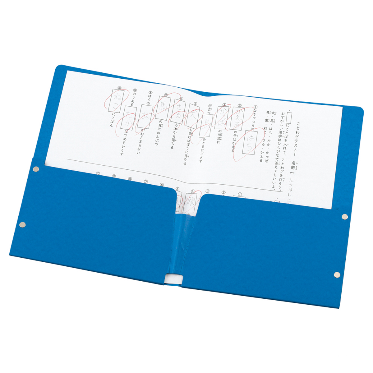 ポケットファイル　藍