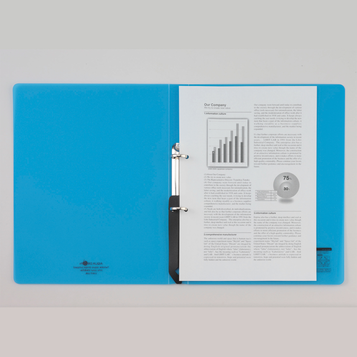 ＡＱＵＡ　ＤＲＯＰｓ　リングファイル＜ツイストリング＞　緑