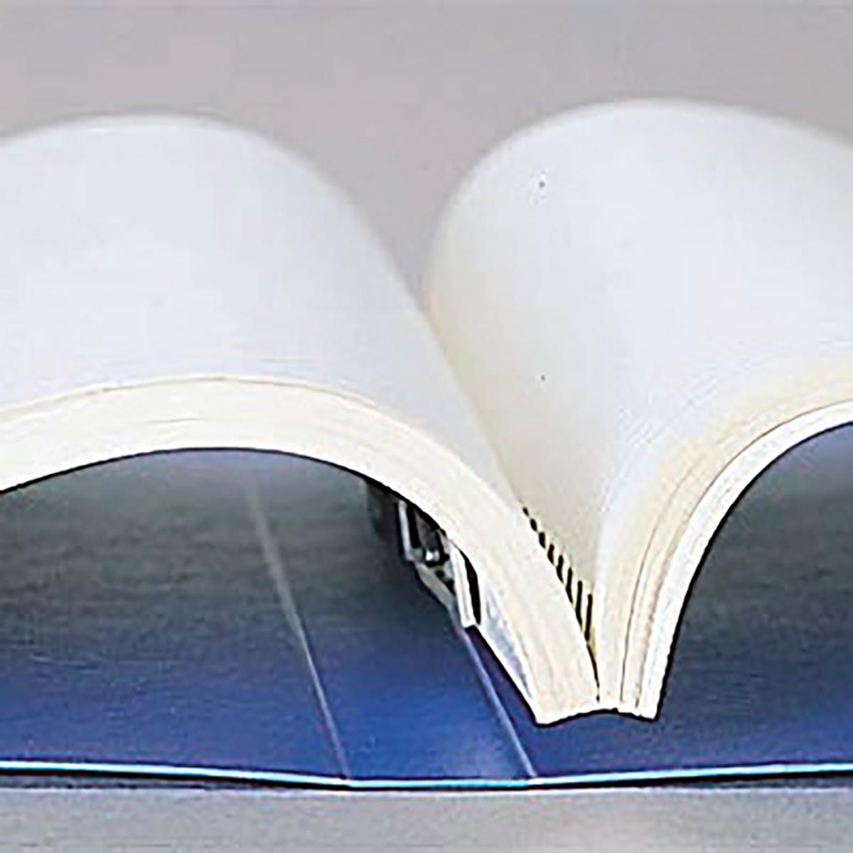 スナッチファイル　藍