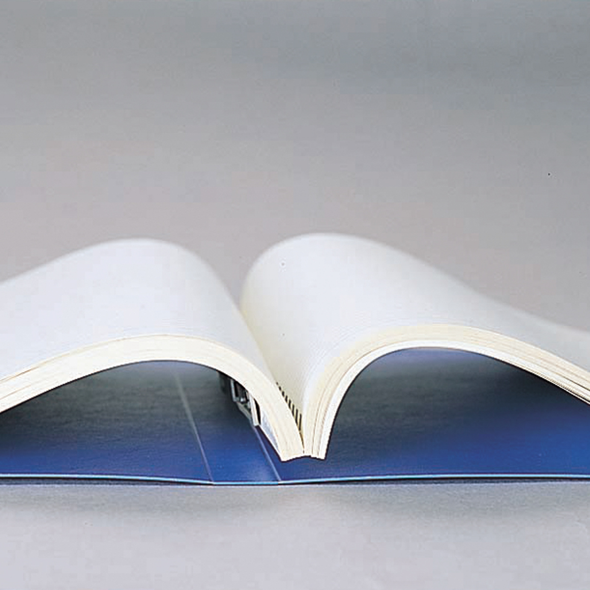 スナッチファイル　藍