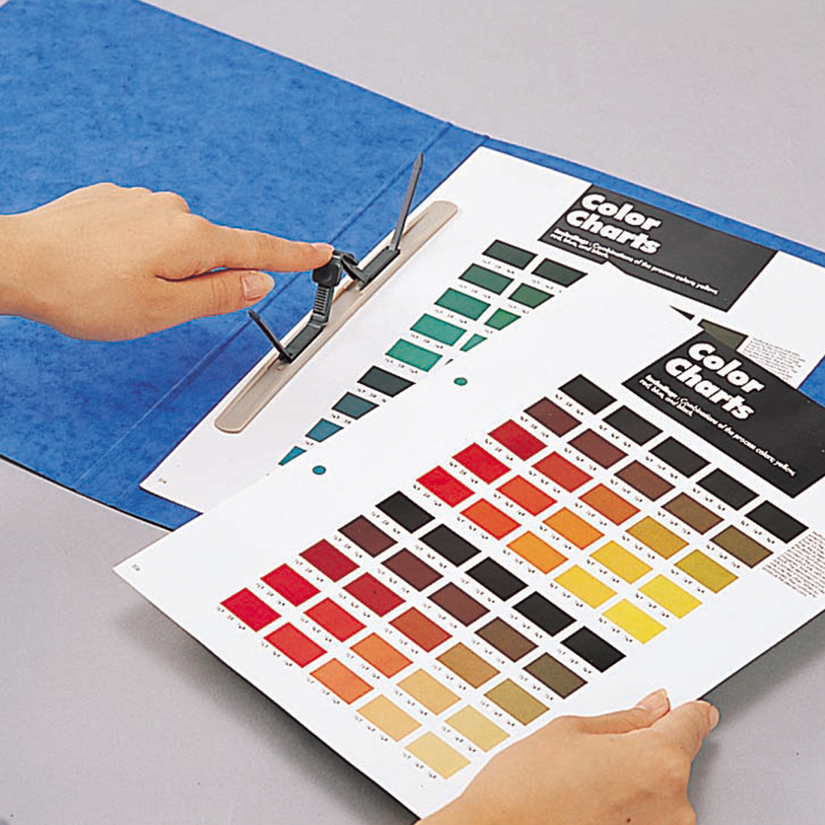 スナッチファイル　藍