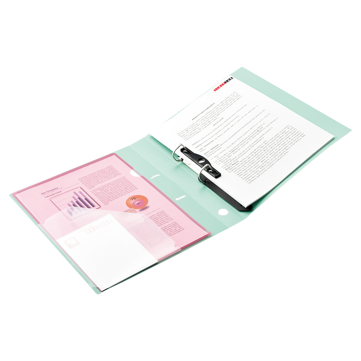 ｎｏｉｅ－ｓｔｙｌｅ　Ｄ型リングファイル＜ツイストリング＞　ブラック