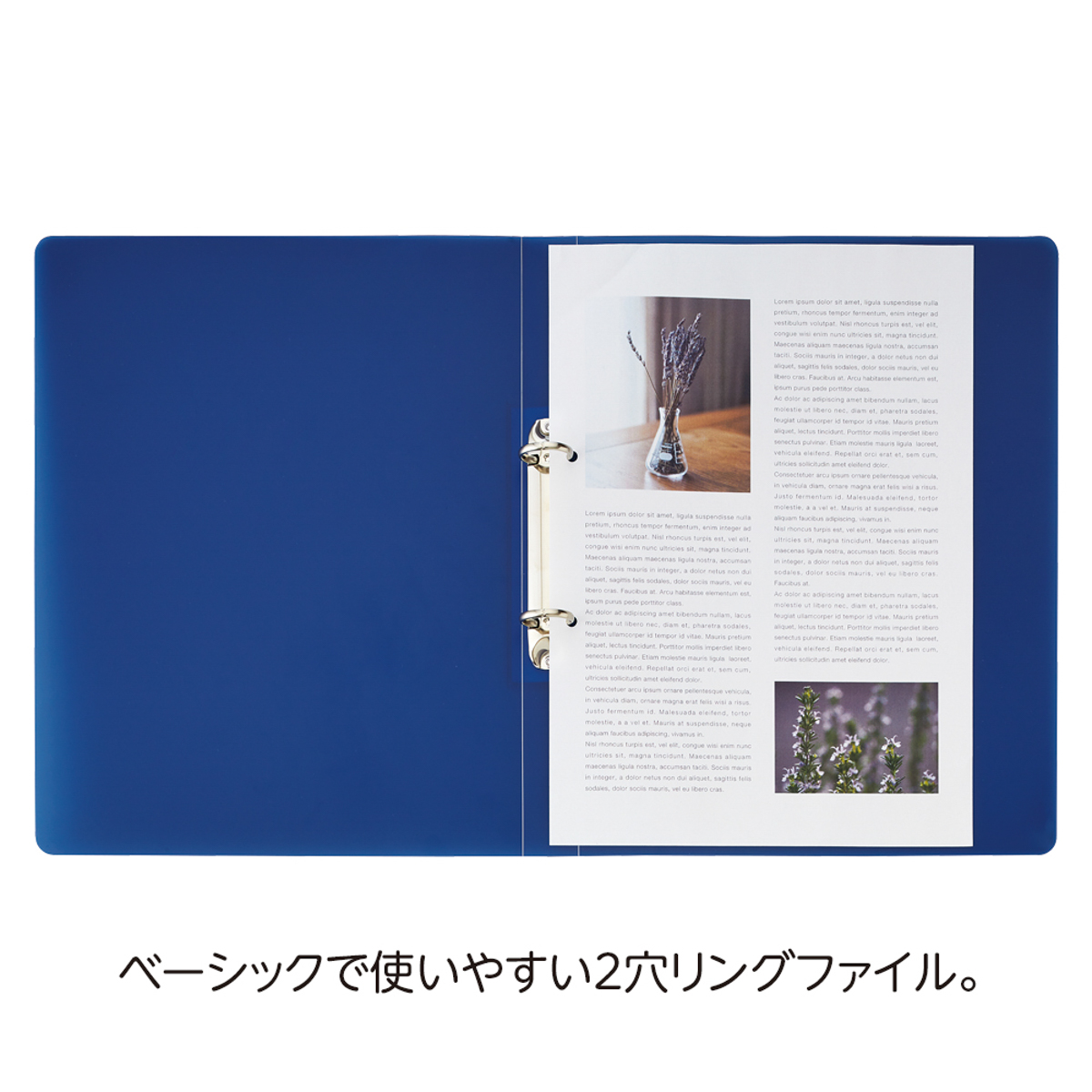 ｓｏｅｒｕ　リングファイル　アイスブルー