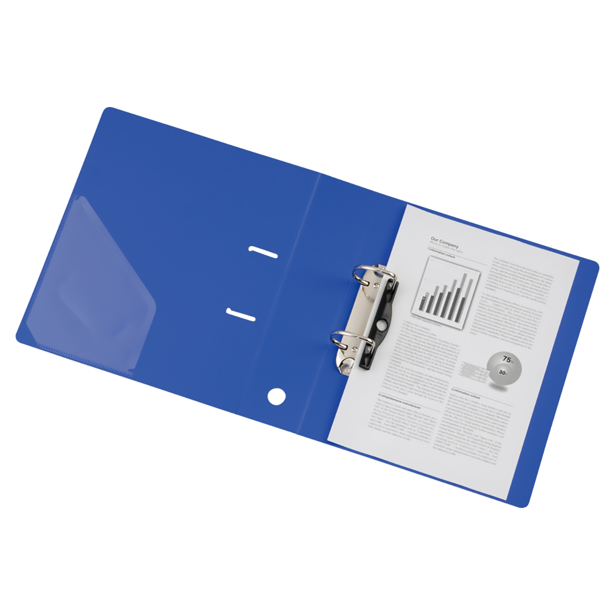 リクエスト　Ｄ型リングファイル　赤