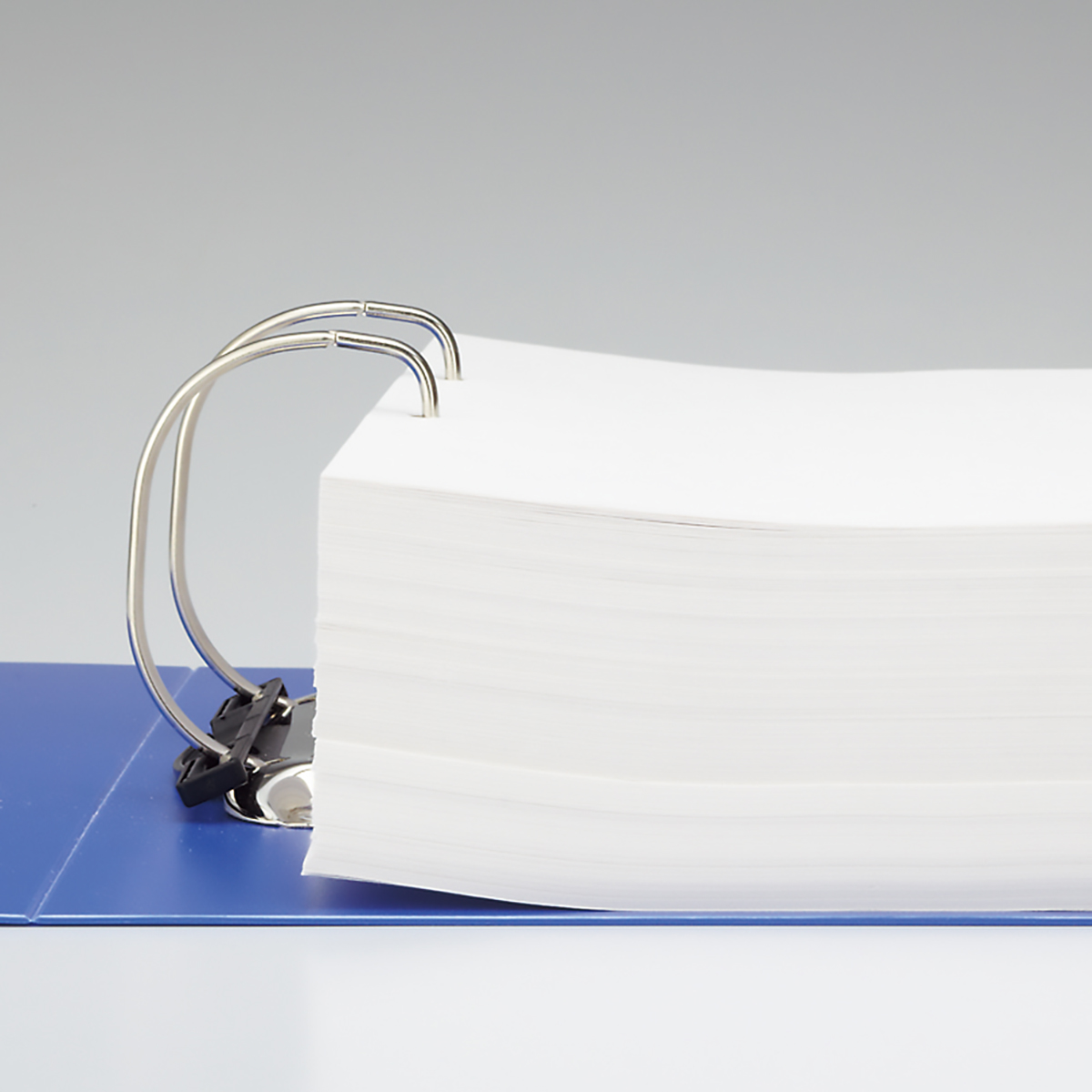 リクエスト　Ｄ型リングファイル　赤