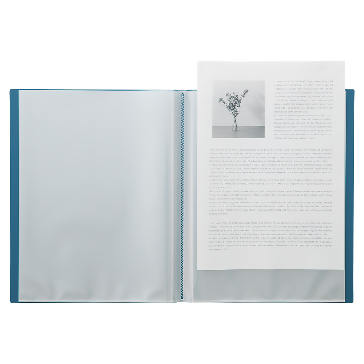 Ｍｕｔｕａｌ　クリヤーブック　アイボリー