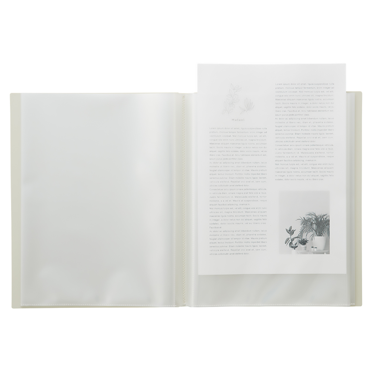 Ｍｕｔｕａｌ　クリヤーブック　マットイエロー