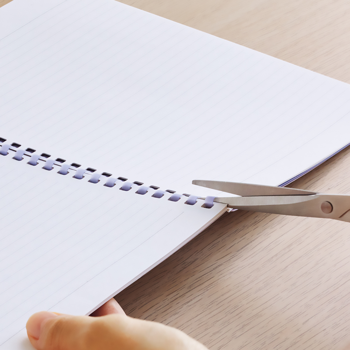 ソフィーチェノート　パープル