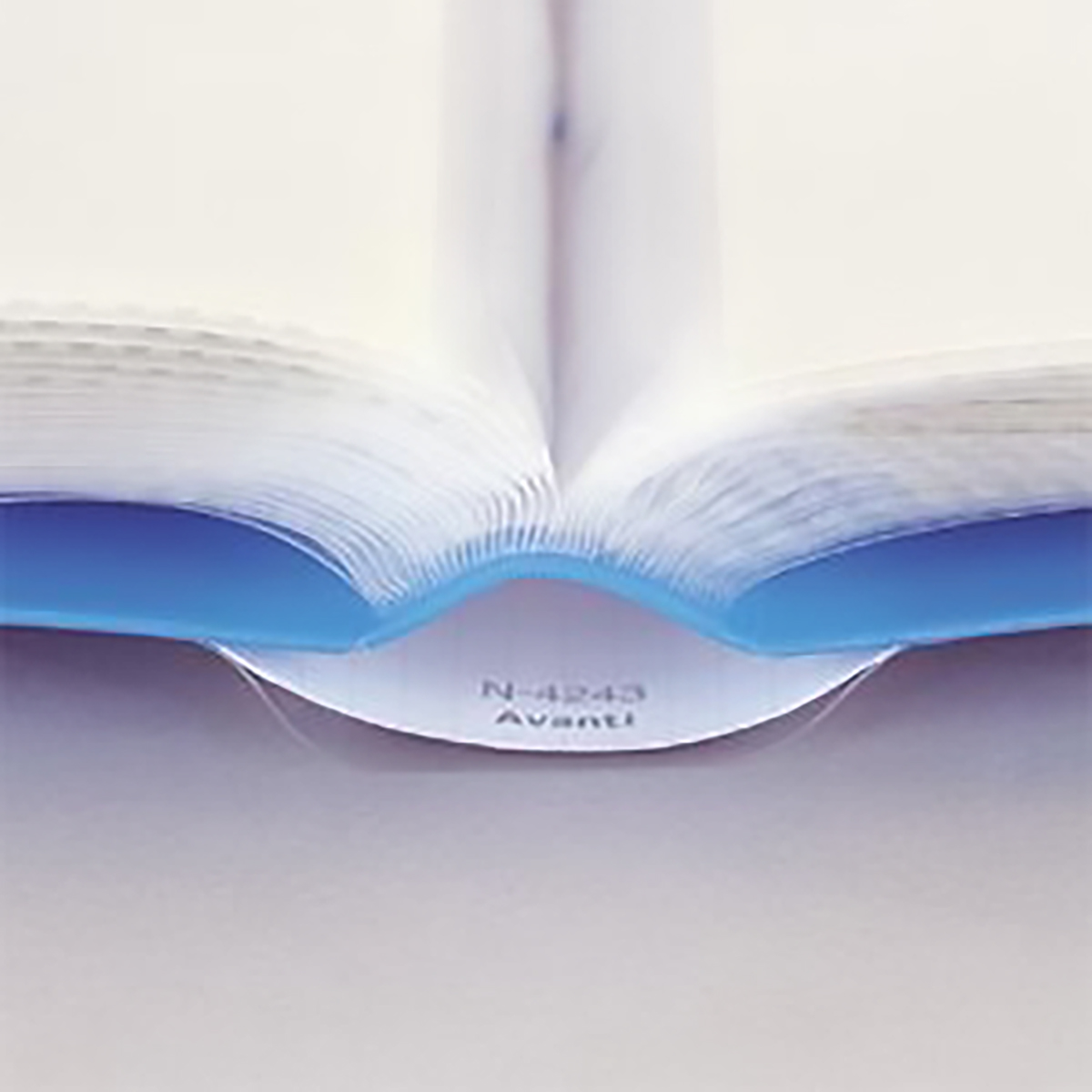 クリヤーブック・ルポ＜ＳＥＩＨＯＮ＞　青