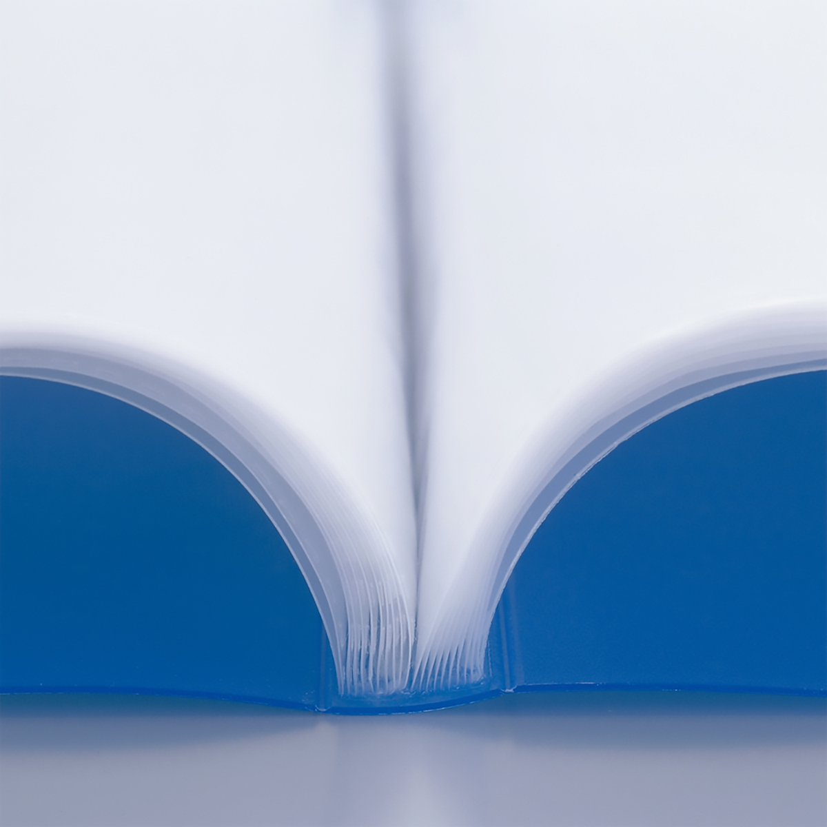 ＡＱＵＡ　ＤＲＯＰｓ　クリヤーブック　乳白