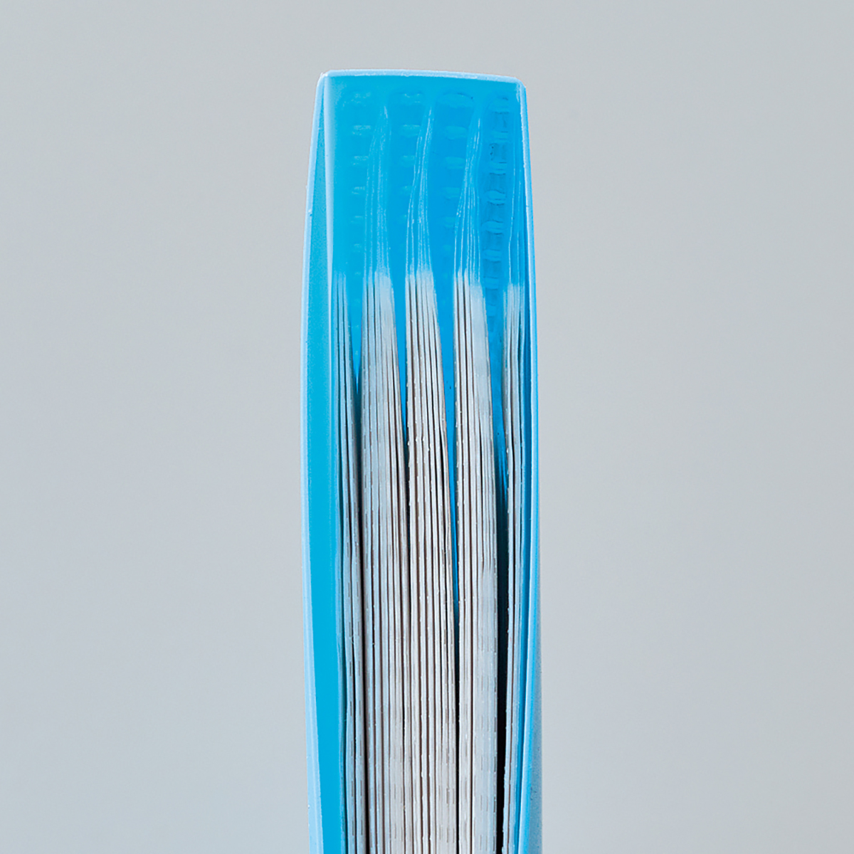 ＣＵＢＥ　ＦＩＺＺ　クリヤーブック　パープル