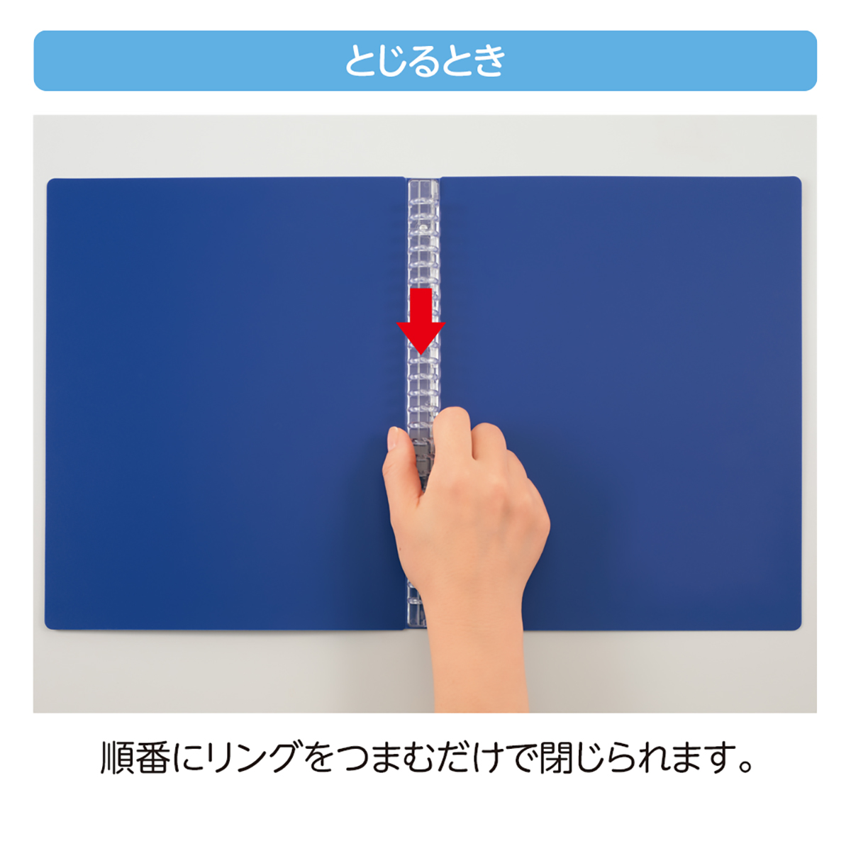 ＣＵＢＥ　ＦＩＺＺ　バインダー　パープル