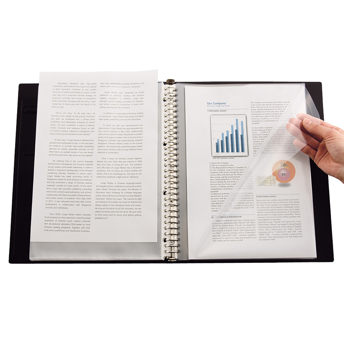 ＳＭＡＲＴ　ＦＩＴ　２タイプポケットクリヤーブック交換式　ベージュ