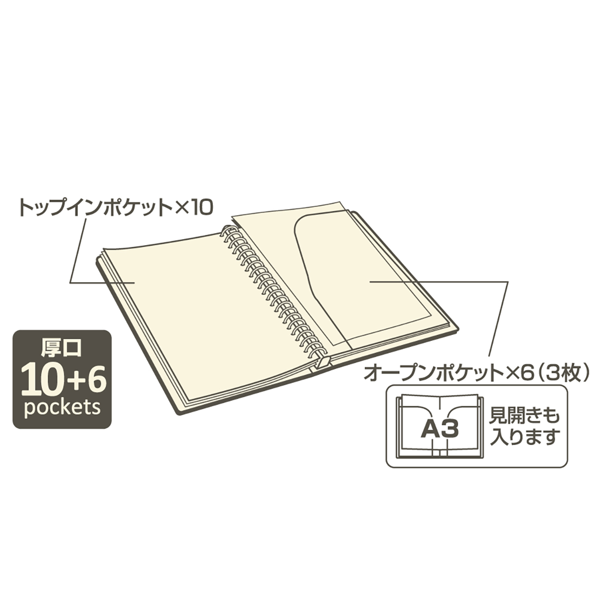 ＳＭＡＲＴ　ＦＩＴ　２タイプポケットクリヤーブック交換式　ブラック