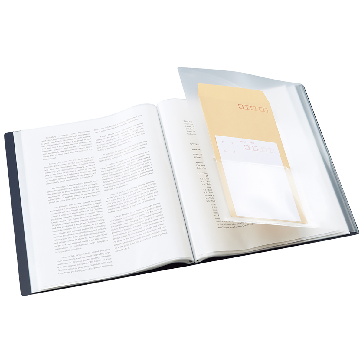 ＡＬＴＮＡ　クリヤーブック　２０Ｐ　ライトブルー