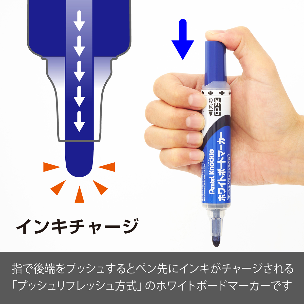 ぺんてる ホワイトボードマーカー ノックル 中字 直液式 青 EMWLM-C