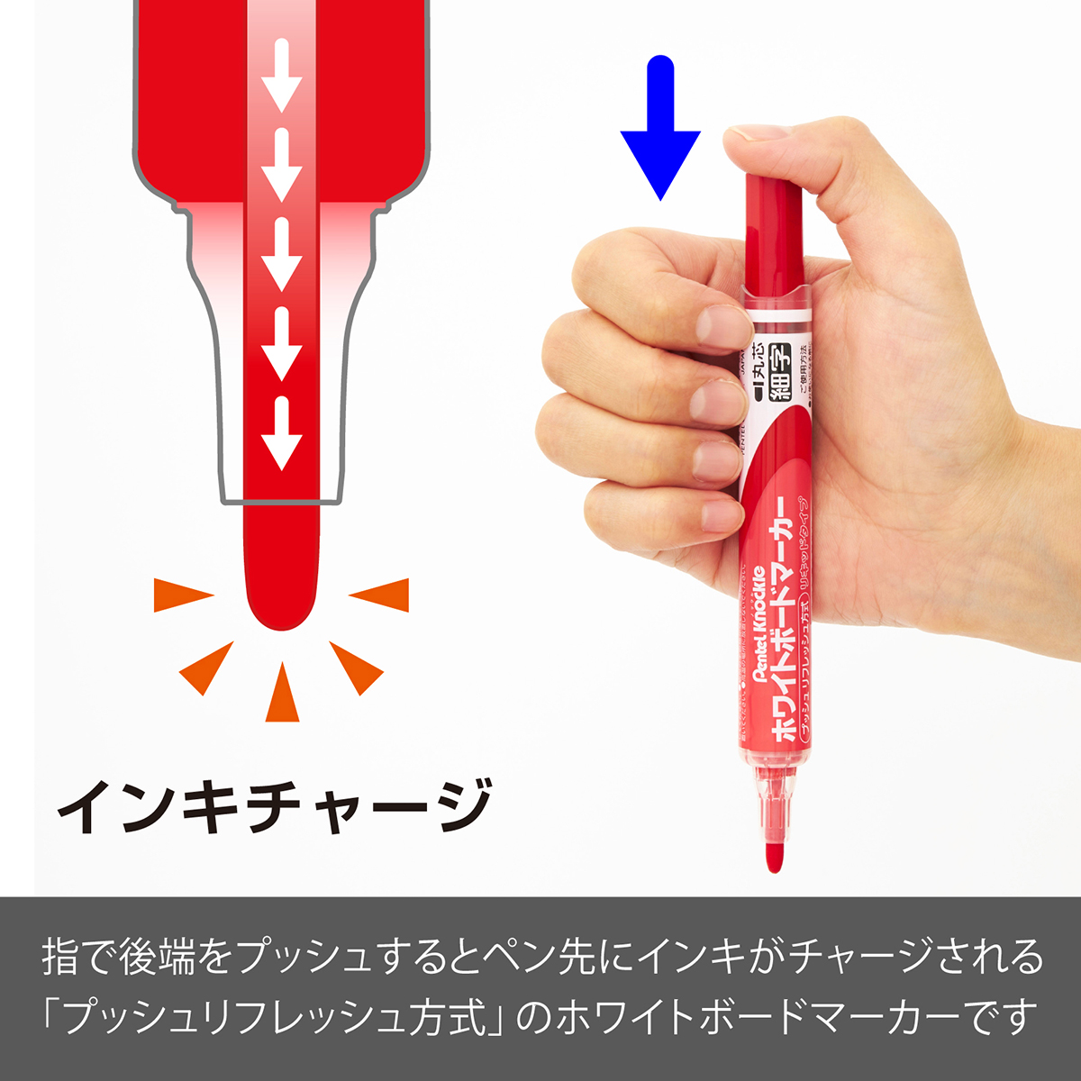 ぺんてる ホワイトボードマーカー ノックル 細字 直液式 赤 EMWLS-B