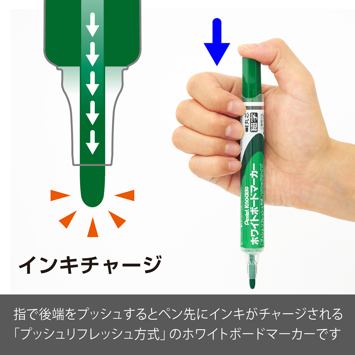 ぺんてる ホワイトボードマーカー ノックル 細字 直液式 緑 EMWLS-D