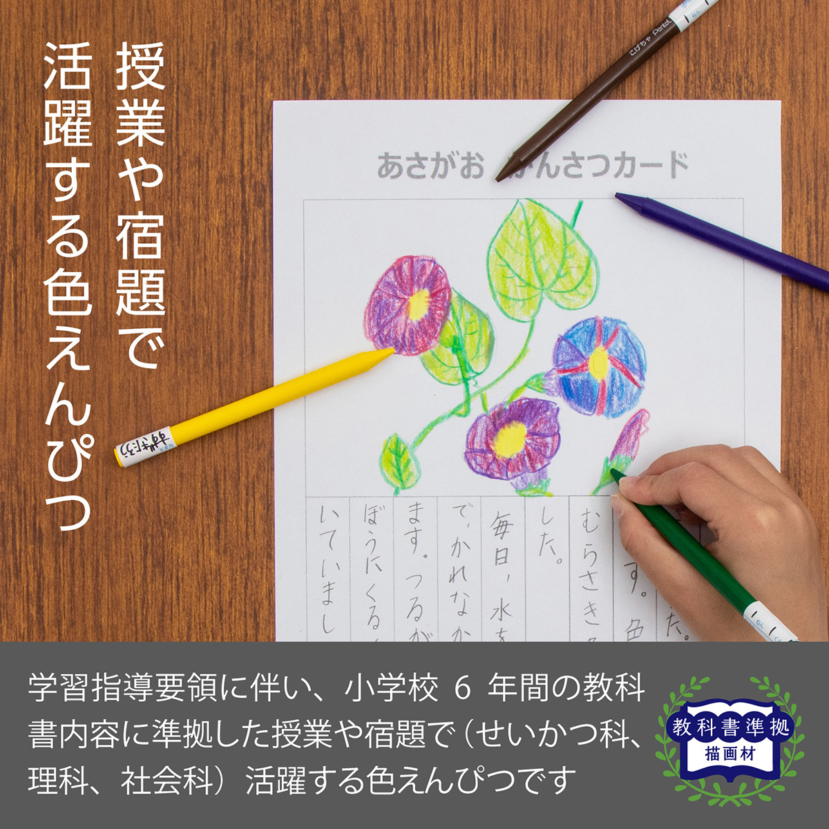 ぺんてる 色鉛筆 小学校色えんぴつ （パスティック） セット 12色 +3色 GCG1-12P3