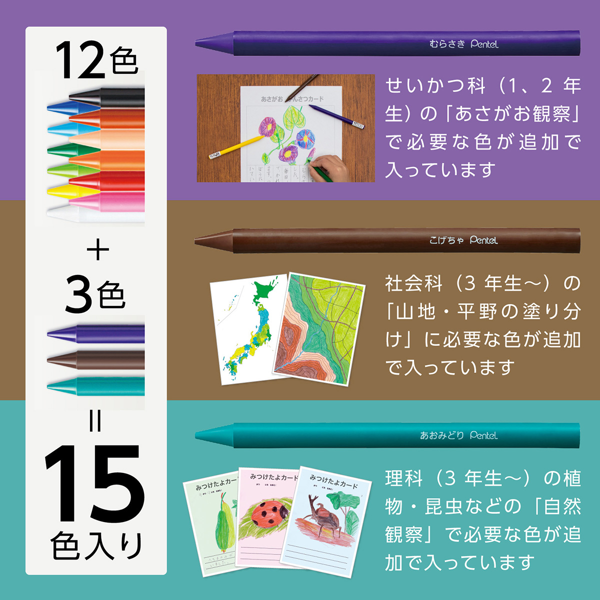 ぺんてる 色鉛筆 小学校色えんぴつ （パスティック） セット 12色 +3色 GCG1-12P3