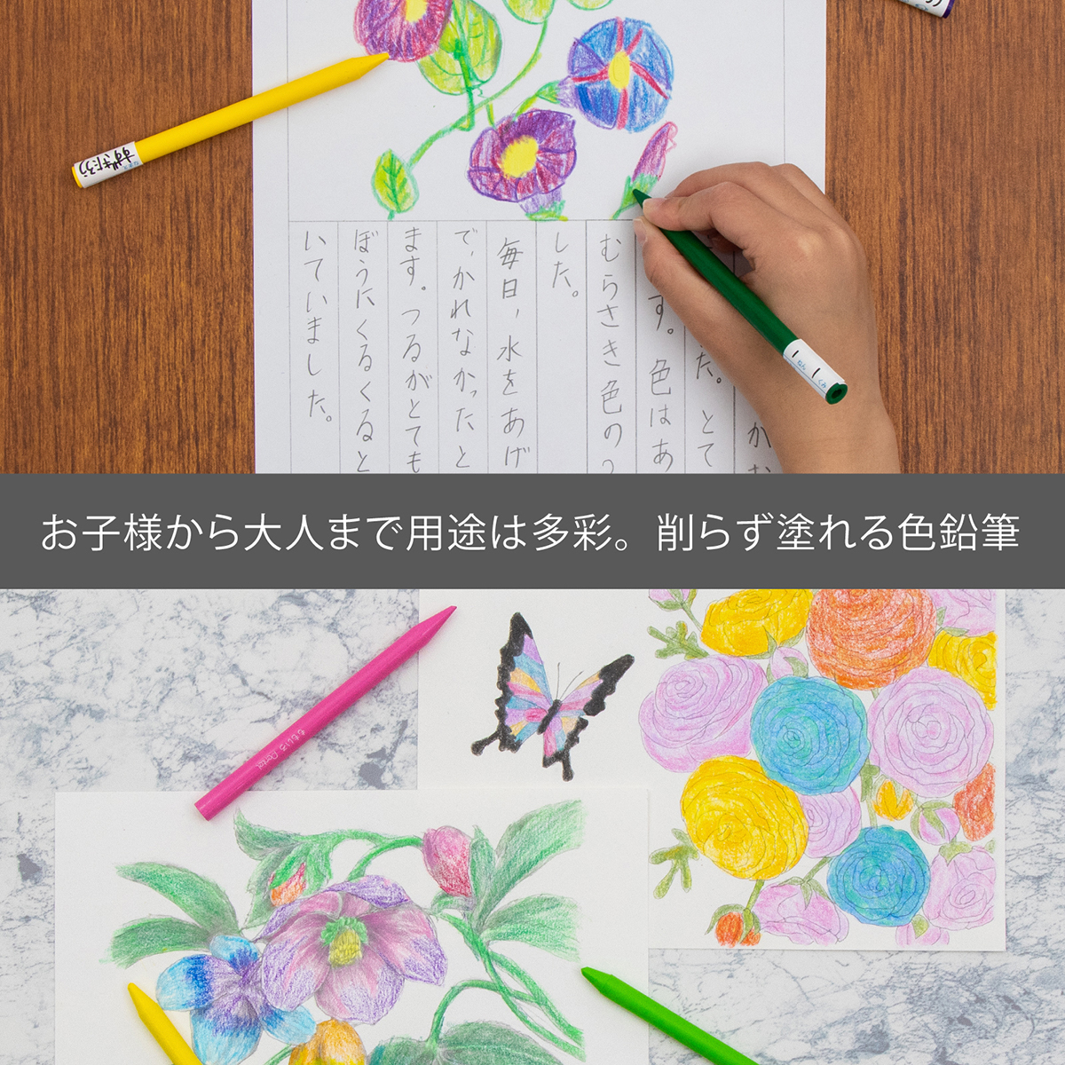 ぺんてる 色鉛筆 パスティック / 小学校色えんぴつ 単色 きみどり GC-T17R