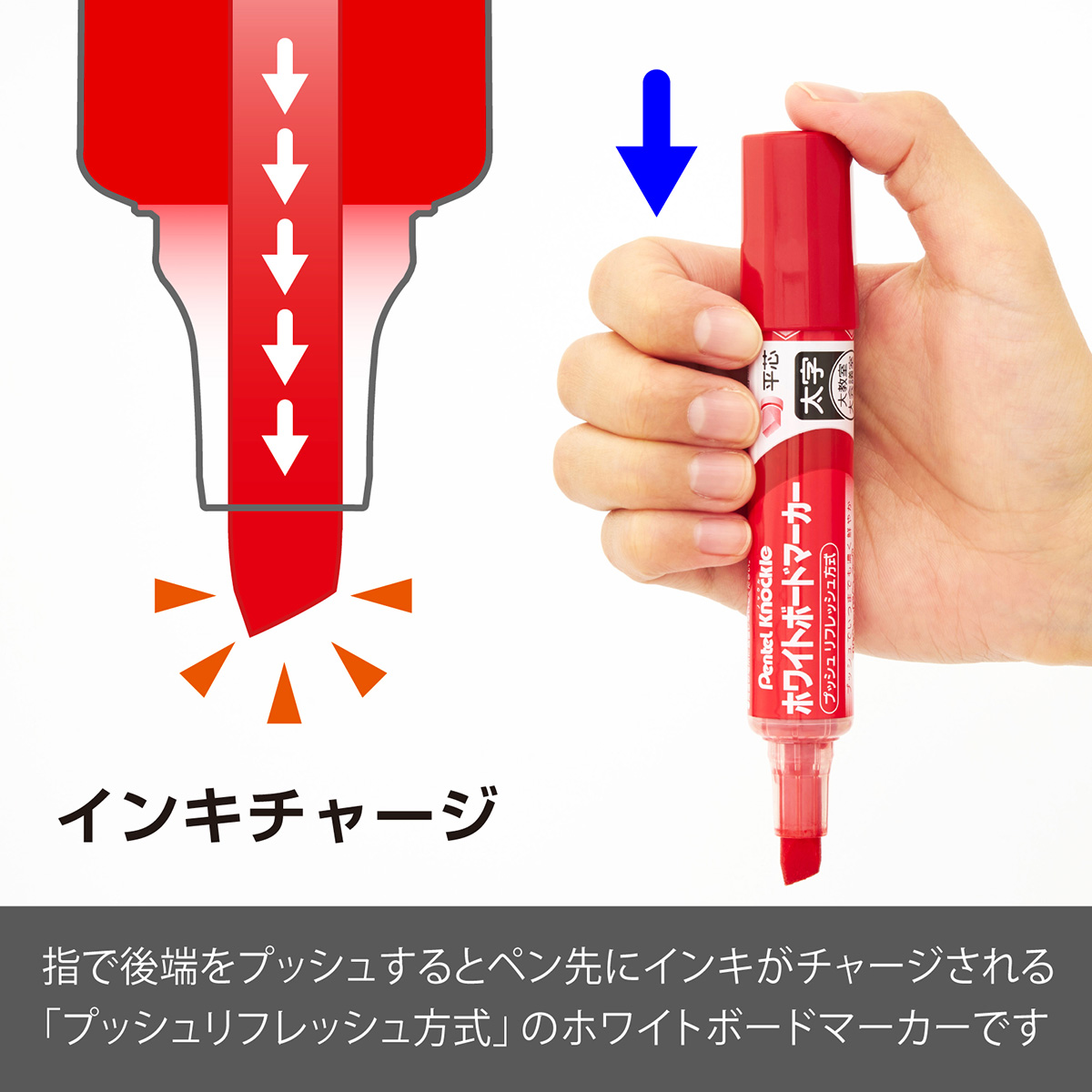 ぺんてる ホワイトボードマーカー ノックル 太字 平芯 直液式 赤 パック入り XEMWL6WB