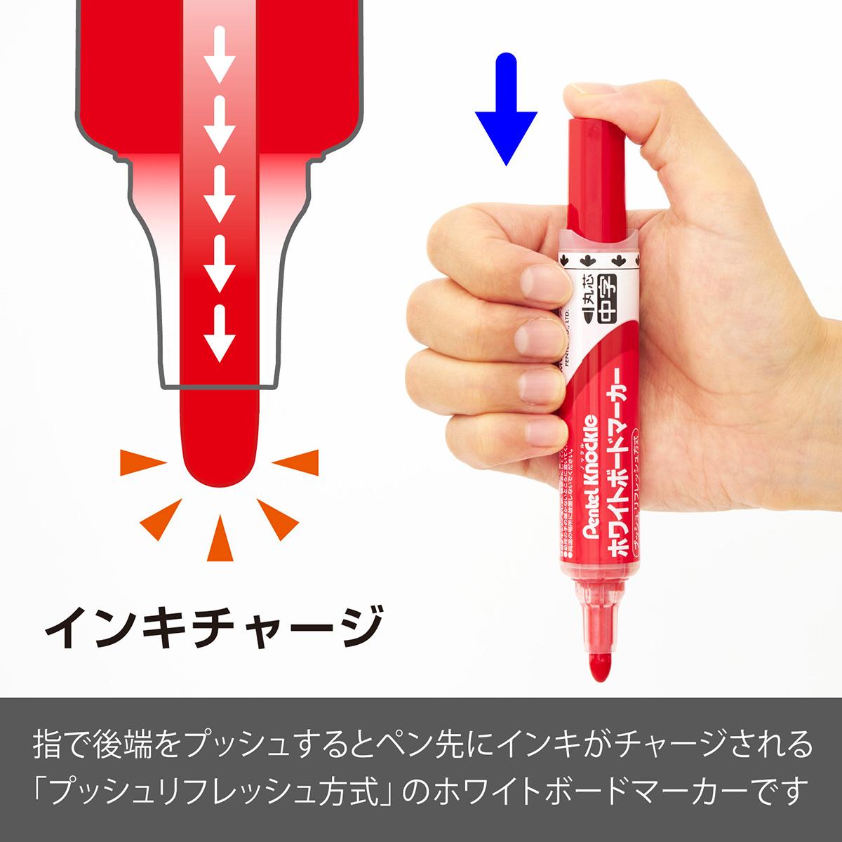 ぺんてる ホワイトボードマーカー ノックル 中字 直液式 赤 パック入り XMWLM-B