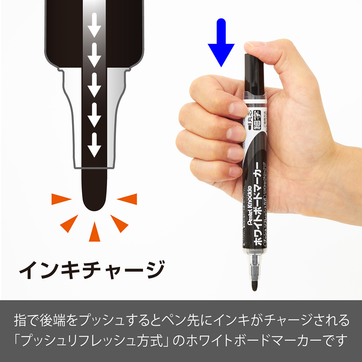 ぺんてる ホワイトボードマーカー ノックル 細字 直液式 黒 パック入り XMWLS-A