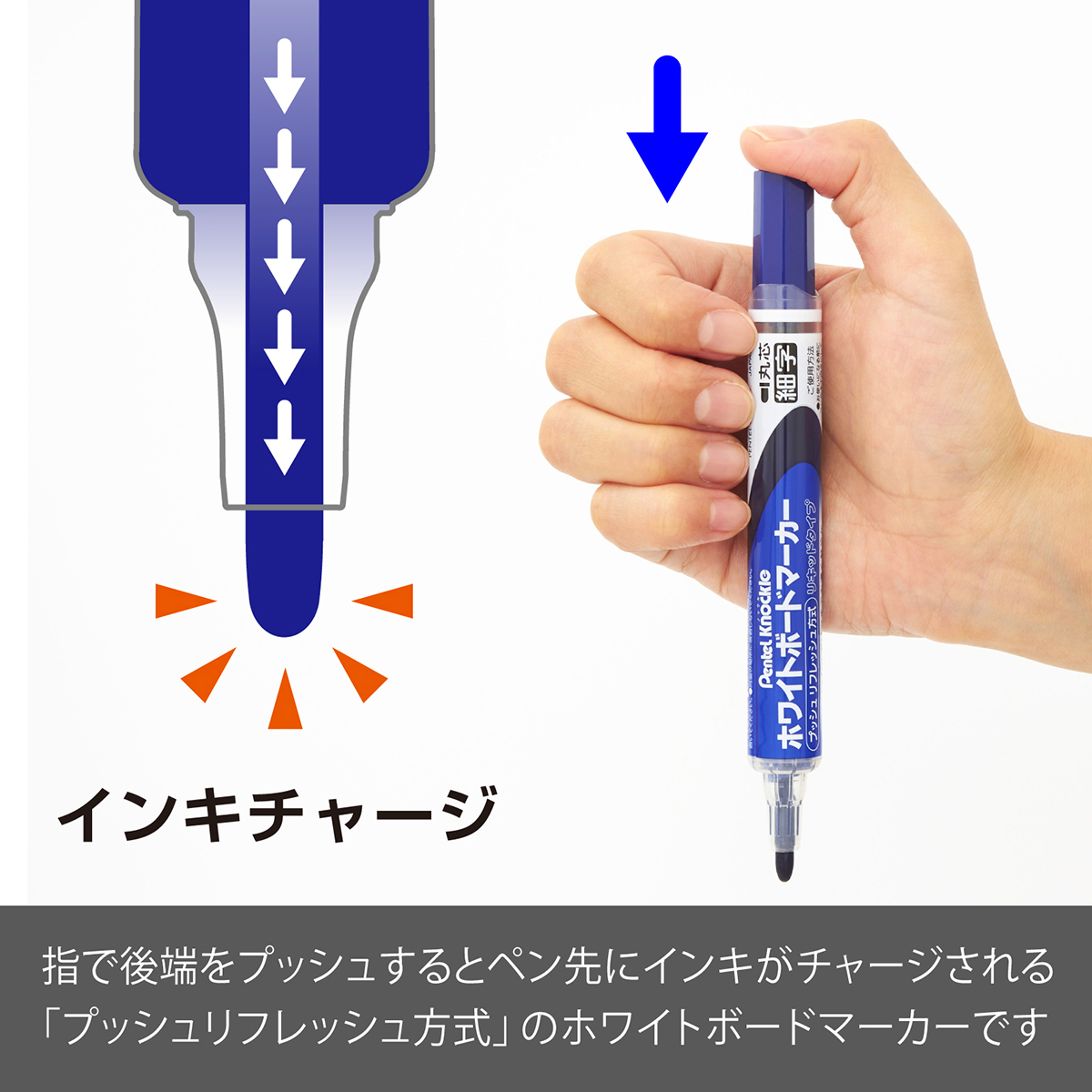 ぺんてる ホワイトボードマーカー ノックル 細字 直液式 青 パック入り XMWLS-C