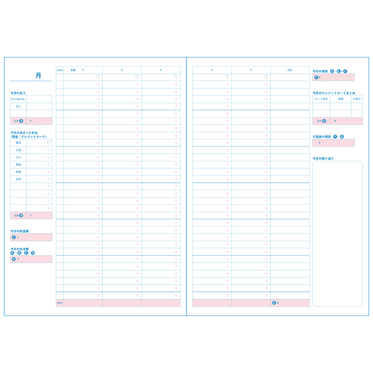ダイゴー　はじめてさんの家計簿　Ａ５　ブルー