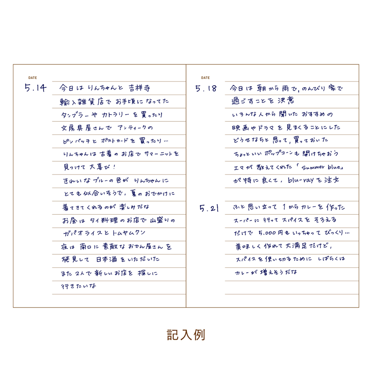 ダイゴー　イージージャーナル　Ｂ７　ピンク