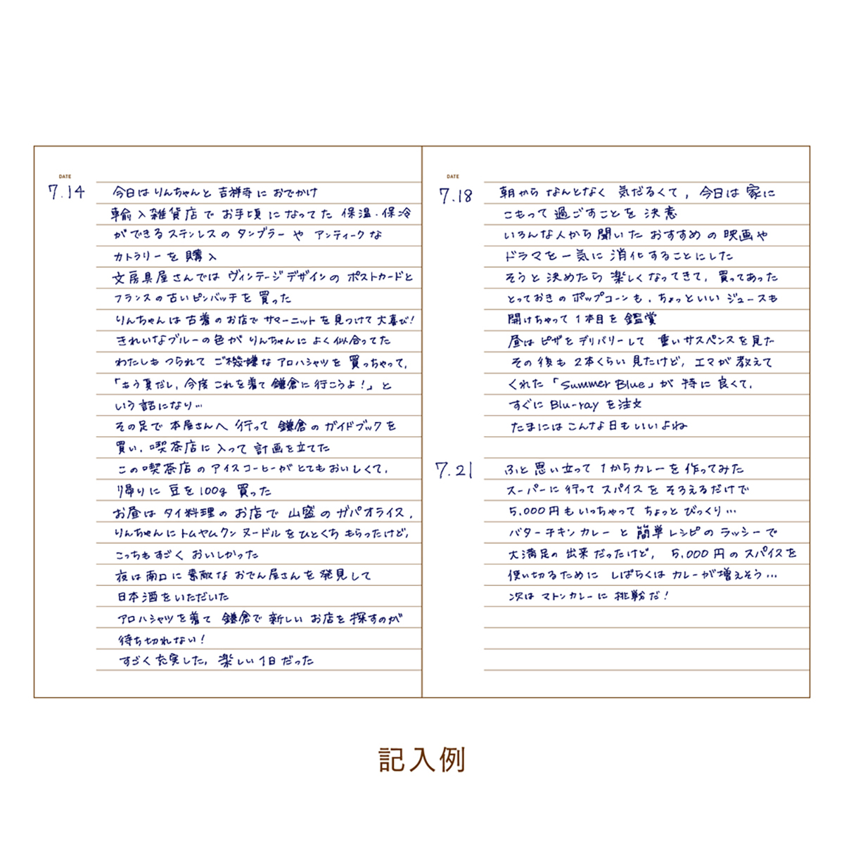 ダイゴー　イージージャーナル　Ｂ６　ピンク