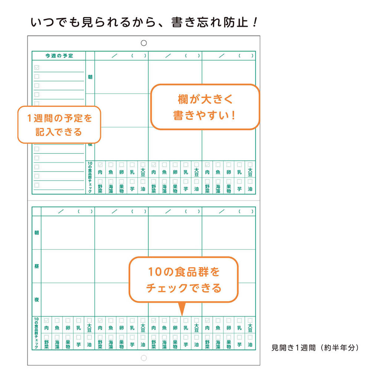 ダイゴー　壁にかけられる食事記録　Ｂ５　グリーン
