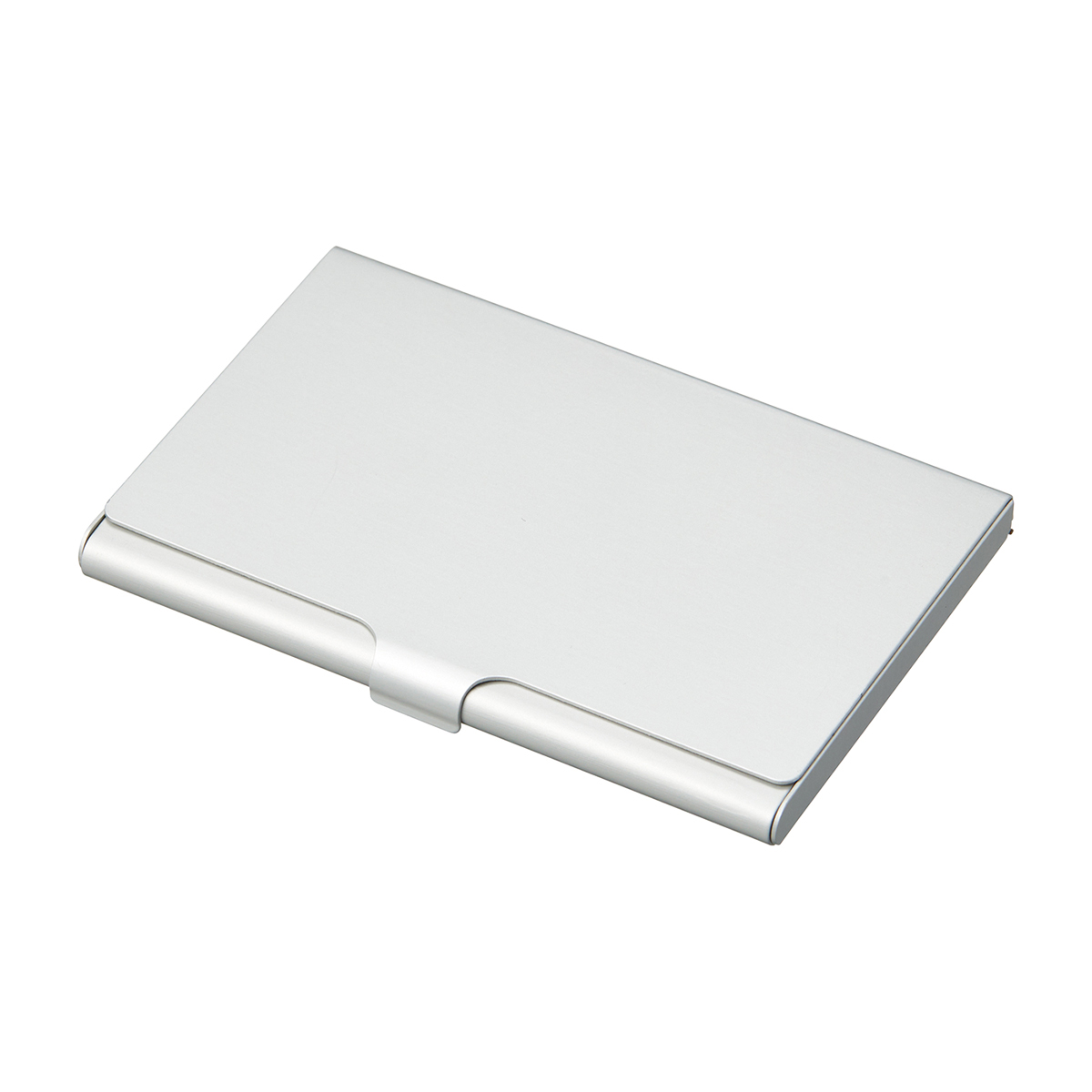 レイメイ藤井　アルミカードケース（25枚収納）　CHA1056S