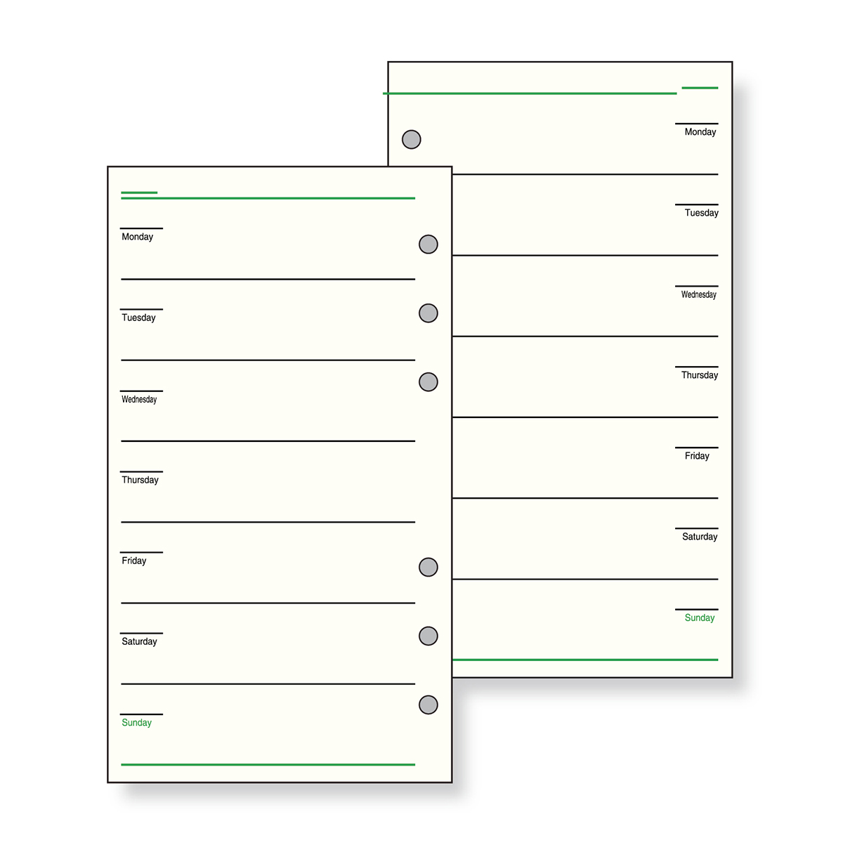 レイメイ藤井　ダヴィンチ リフィル (聖書) フリーウィークリーC　DR273